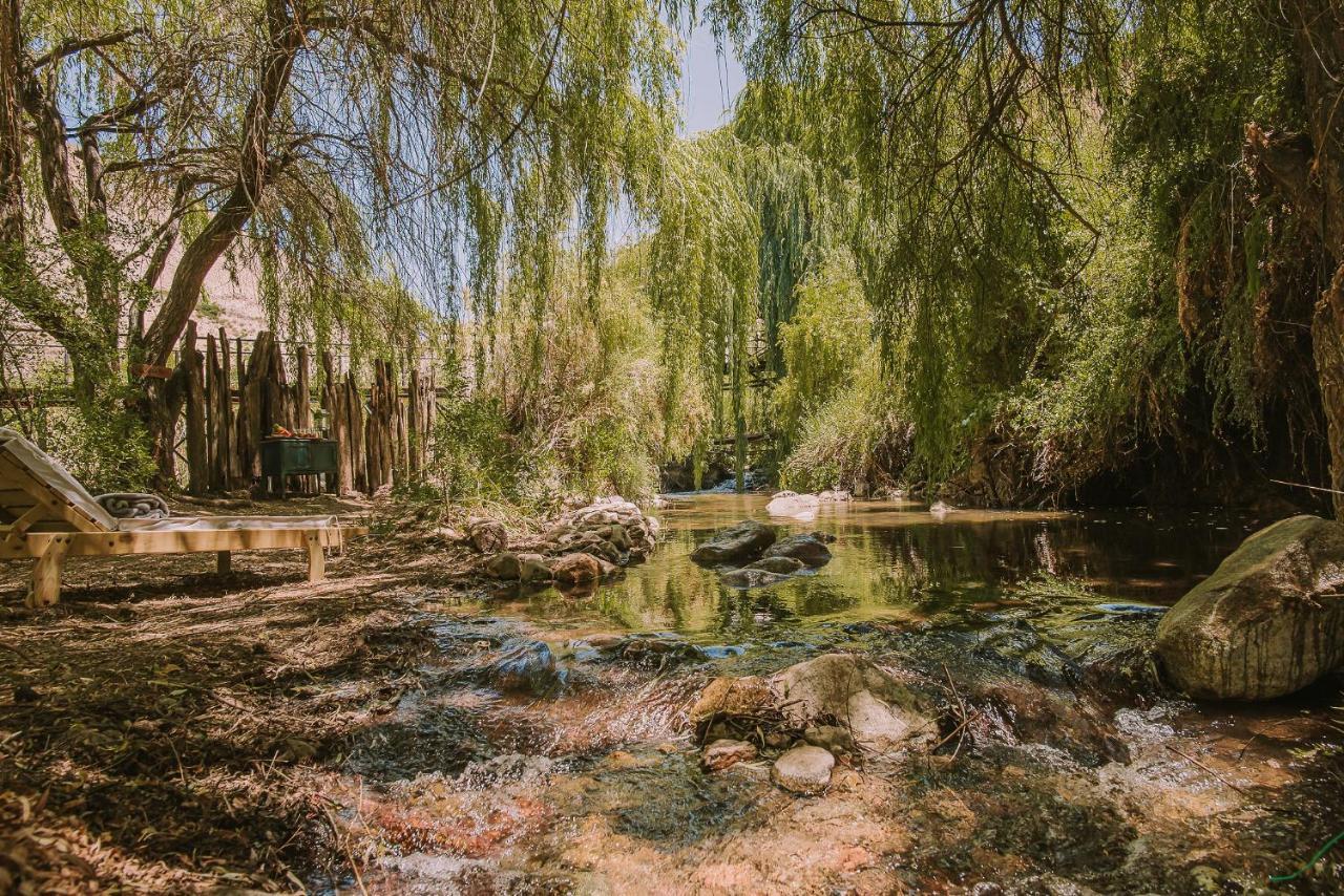 Hotel Vivelo Elqui Landscape Horcon  Екстер'єр фото