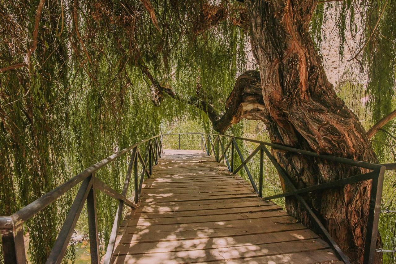 Hotel Vivelo Elqui Landscape Horcon  Екстер'єр фото